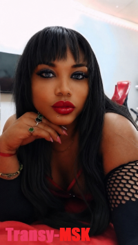 ���� ������������� Nina �� ������ ������
