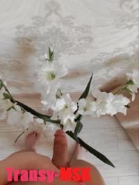���� ������������� ������� ������ �� ������ ������